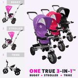 RiiRoo 3 Wheel Trike For Toddlers Ride On Buggy Handle Bar 3 In 1