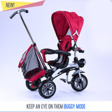 RiiRoo 4 In 1 Buggy Stroller Trike Bike