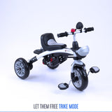 RiiRoo 4 In 1 Buggy Stroller Trike Bike