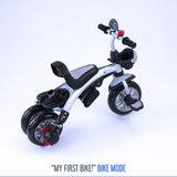 RiiRoo 4 In 1 Buggy Stroller Trike Bike