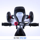 RiiRoo 4 In 1 Buggy Stroller Trike Bike