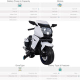 RiiRoo BMW F 800 GT Style Ride On Bike - 12V