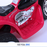 RiiRoo Harley Style Police Ride On Motorbike/Trike - 6V