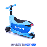 RiiRoo Hidden Hypervisual Product