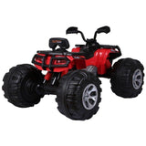 RiiRoo RiiRoo 63S Quad Bike - 12V