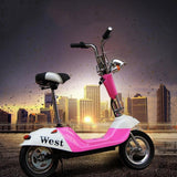 RiiRoo Venice - Limited Edition Old School Electric Scooter 350W